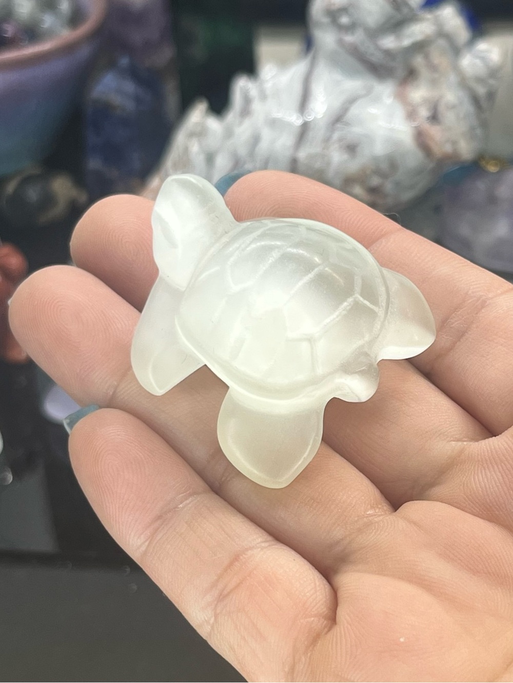 Cat eye Turtle Carving